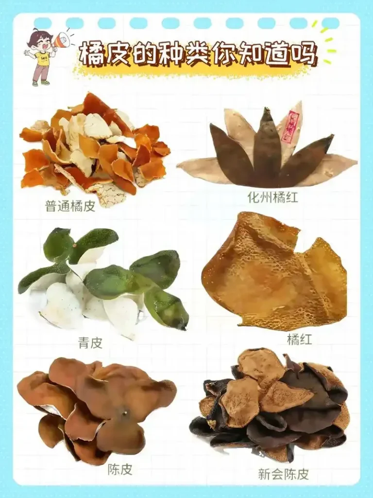 Tangerine Peel (橘皮): The Counterfeit Problem (And Why It Matters)